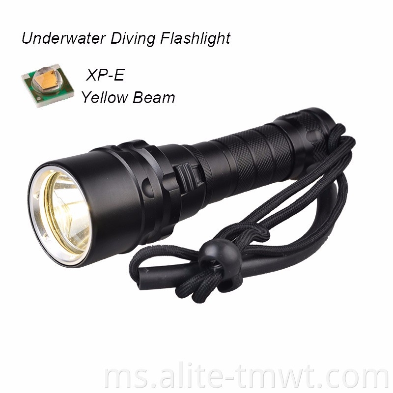 Cahaya kecil UV kecil cahaya bawah air LED menyelam lampu suluh obor